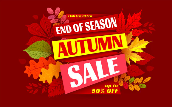 Advertising banner about Autumn Sale at the end of season with bright fall leaves. Invitation for shopping with 50 percent off. Trendy style, dark red background. Vector illustration. 