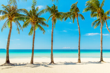 Beautiful landscape of tropical beach on Boracay island, Philippines. Coconut palm trees, sea, sailboat and white sand. Nature view. Summer vacation concept.