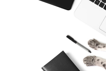 Black notebook and pen, smartphone, white laptop, gray cat paws on a white background. The concept of work at home, remote employment, online business, pets. Minimalistic monochrome flat lay.