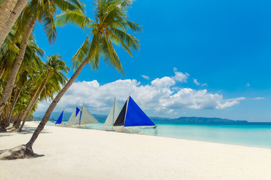 Beautiful landscape of tropical beach on Boracay island, Philippines. Coconut palm trees, sea, sailboat and white sand. Nature view. Summer vacation concept.