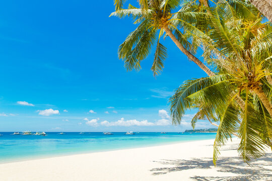 Beautiful landscape of tropical beach on Boracay island, Philippines. Coconut palm trees, sea, sailboat and white sand. Nature view. Summer vacation concept.