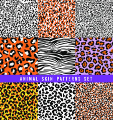 set of animal print vector patterns