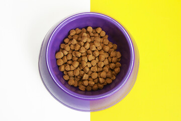 dry dog food in a purple plate