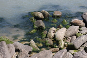 Fototapeta premium Sea pebble. Sea stones background. Beach rocks.