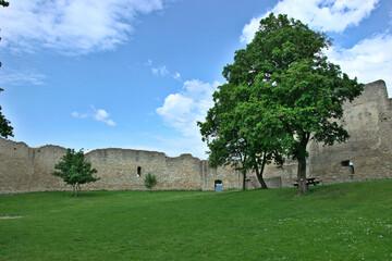 Obraz premium Graswiese im Burghof 