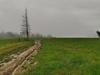 Poland Beskid Sadecki Jaworki. Three travelers passing through the clearing during fog.