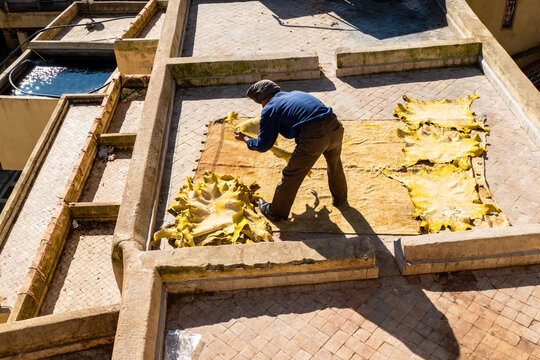 Prepared skins drying in the sun in Fes, Morocco
