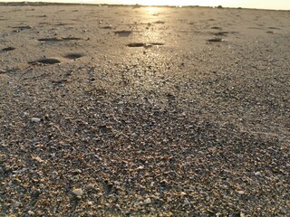 pebbles on the beach