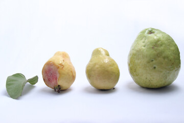 variations of guava fruit and leaves, from small to large guava, ripe guava, raw and rotten