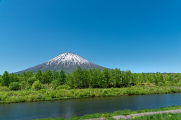 羊蹄山とニセコエリアの風景 / 北海道 ニセコ町 / ドローン空撮