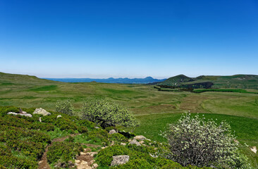 Fototapeta na wymiar Plateau de la Banne d’Ordanche, Massif du Sancy, Puy de dôme, Auvergne, France