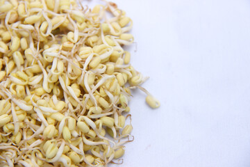 pattern of sprouts ready to eat. sprouts for food flavoring