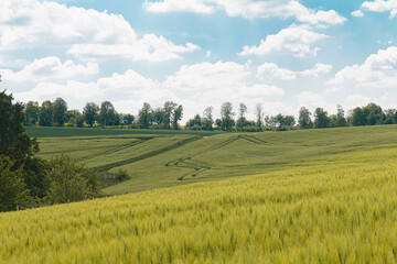 Spuren auf Feld