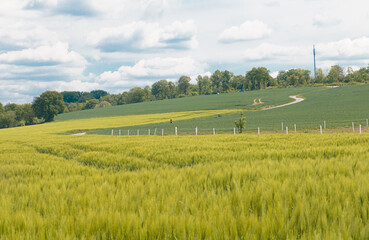 Feld in zwei Farben