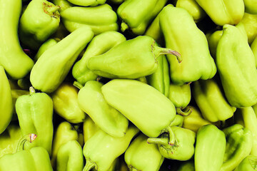 Harvest green peppers. A lot of vegetables. Organic food and farmers market concept. Close-up, Flat lay stylish, top view.