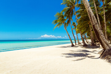 Beautiful landscape of tropical beach on Boracay island, Philippines. Coconut palm trees, sea, sailboat and white sand. Nature view. Summer vacation concept.