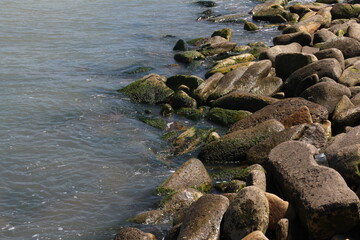 Sea pebble. Sea stones background. Ocean beach rocks.