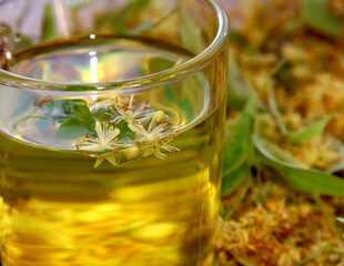 A Cup of lime tea on a background of lime flowers.