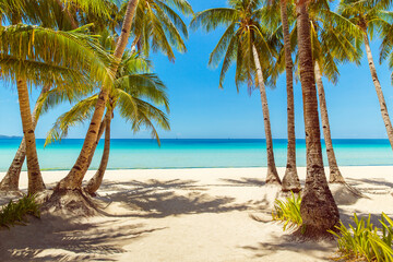 Beautiful landscape of tropical beach on Boracay island, Philippines. Coconut palm trees, sea, sailboat and white sand. Nature view. Summer vacation concept.