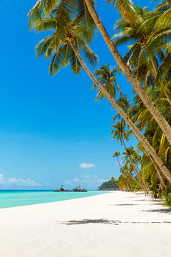 Beautiful landscape of tropical beach on Boracay island, Philippines. Coconut palm trees, sea, sailboat and white sand. Nature view. Summer vacation concept.