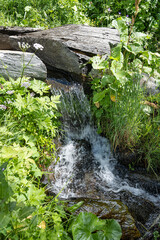 Brunnen als Wasserteiler im Bewässerungssystem, Bellwald, Goms, Wallis, Schweiz
