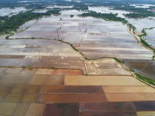Aerial view of vast paddy field plantation area. Currently water was filled up to start planting the paddy seed.