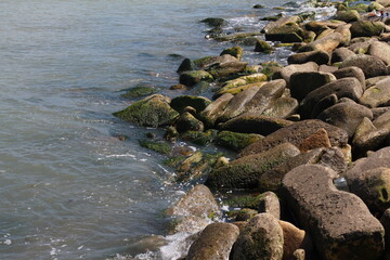 Sea pebble. Sea stones background. Ocean beach rocks.