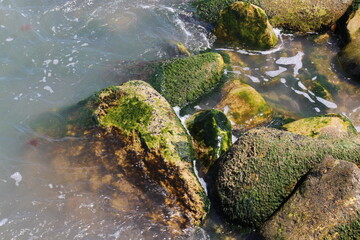 Sea pebble. Sea stones background. Ocean beach rocks.