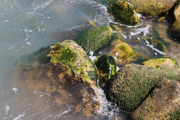 Naklejka na ściany i meble Sea pebble. Sea stones background. Ocean beach rocks.