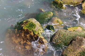 Sea pebble. Sea stones background. Ocean beach rocks.