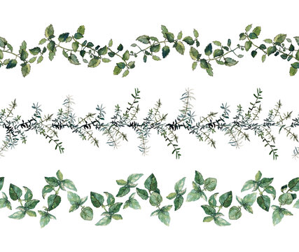 Set of three seamless borders: rosemary, lemon balm and green basil twigs and leaves isolated on white. Watercolour illustration. For duct tape, textile, cookbook, stationary and packaging design.