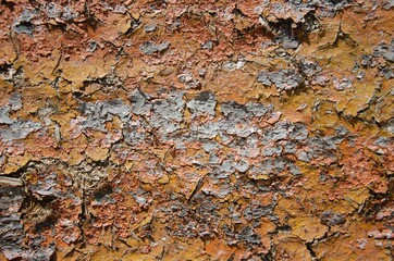 Texture of old wooden boards background