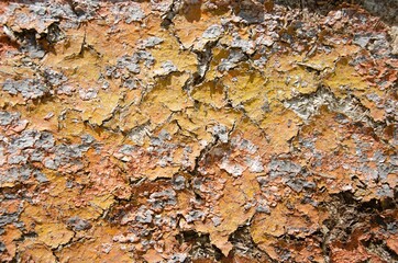 Texture of old wooden boards background