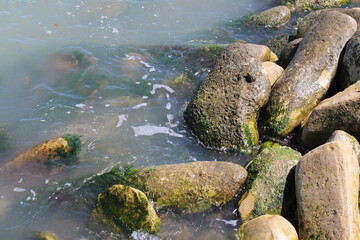 Sea pebble. Sea stones background. Ocean beach rocks.