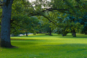 Slottskoggen national park 