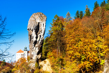 Rock called Hercules Club in Pieskowa Skala, Poland