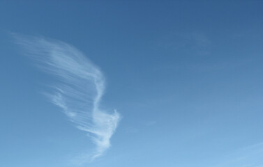 background of a blue sky with a cloud similar to the wings of an angel