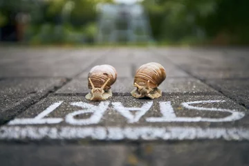 Deurstickers Racing snails in front of start line © Chalabala