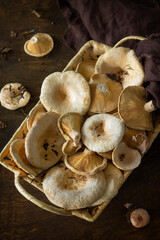 Mushroom Chanterelle over Wooden Background. Forest picking mushrooms Chanterelle in wickered basket. Cooking delicious organic mushroom.
