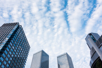 Modern glass buiding silhouettes of skyscrapers in the city