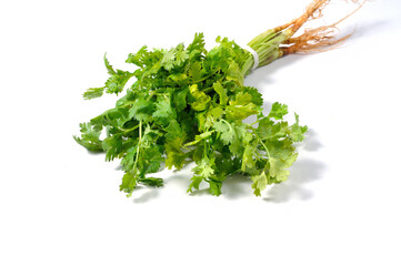 Bundle of coriander on white background