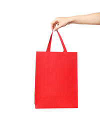 Shopping bag in hand isolated on white background