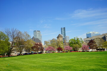 University of Toronto Campus landscape	