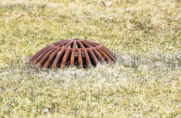 Drain Grate in the Grass