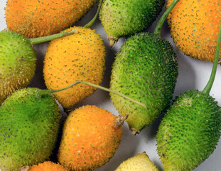 Ripe Bitter Melon, Bitter gourd. Close up. 