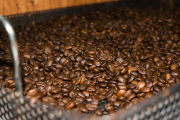 Roasted arabica coffee beans 