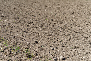 Plowed agricultural field in a countryside