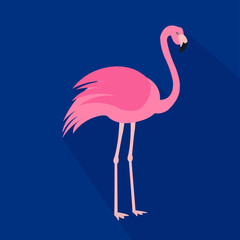 Flamingo cartoon flat icon. Brazil. Vector illustration.