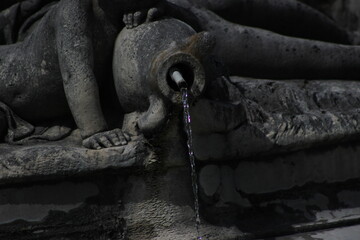 Lainzer Tiergarten, Wasserspiele, Tiere, Landschaft