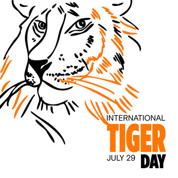 international tiger day. july 29. vector illustration. Line art. Outline style. international tiger day. july 29. vector illustration. Line art. Outline style. Banner. Poster